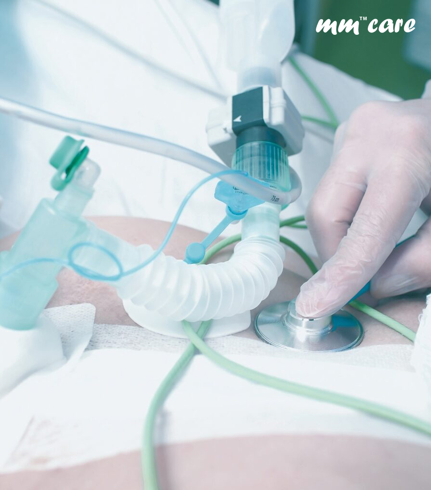 Catheter Mount